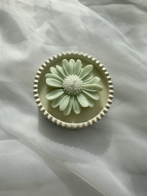 Daisy - Image 5