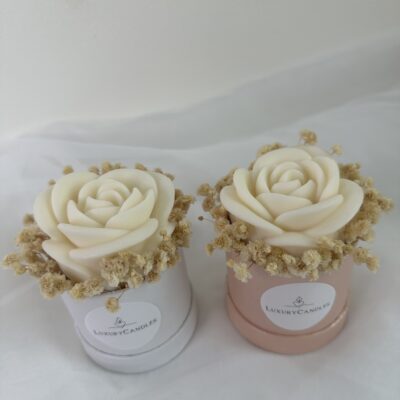 Flowerbox Sweet Rose