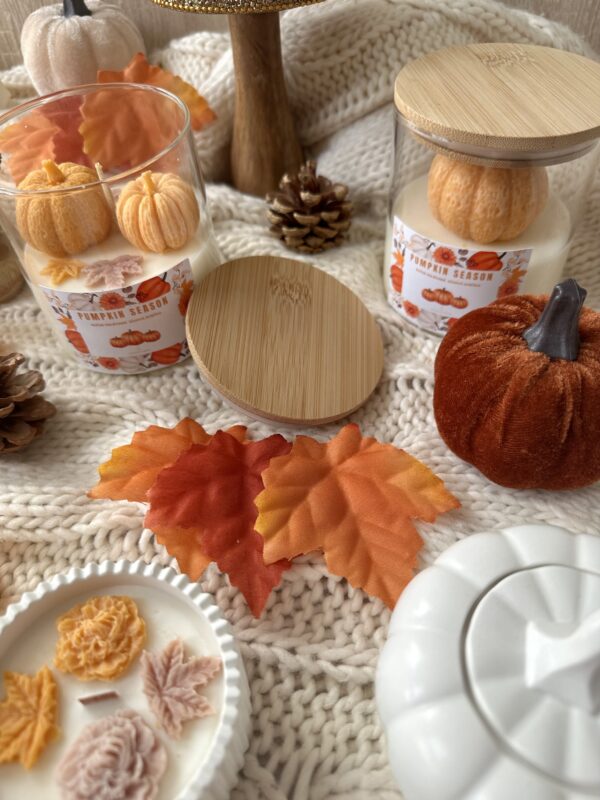 Pumpkin season - Image 5