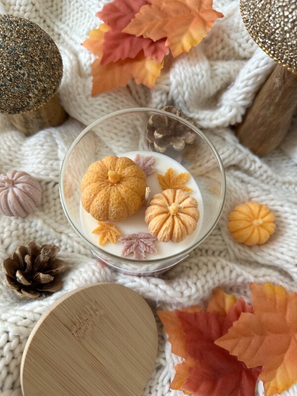 Pumpkin season - Image 6