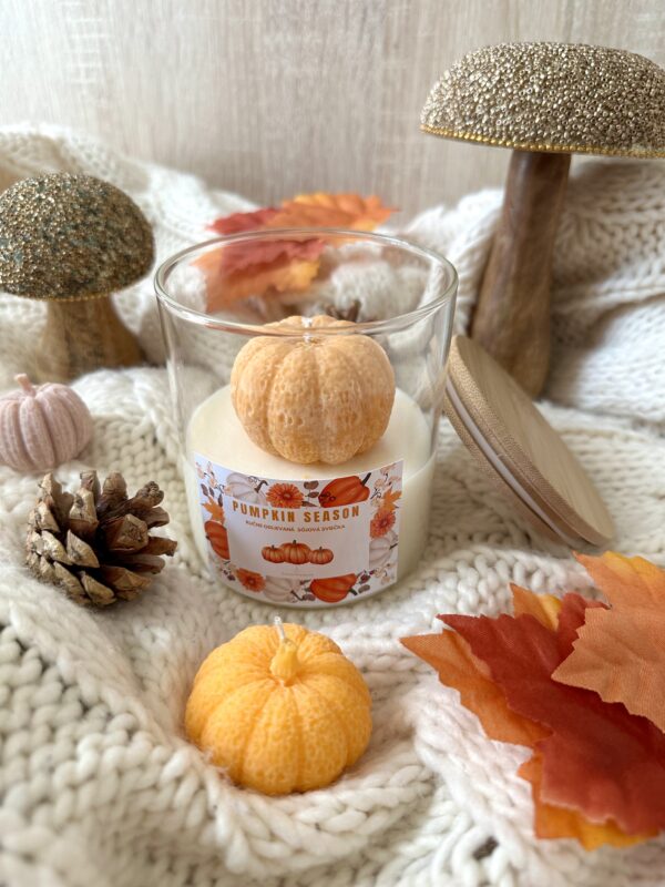 Pumpkin season - Image 7