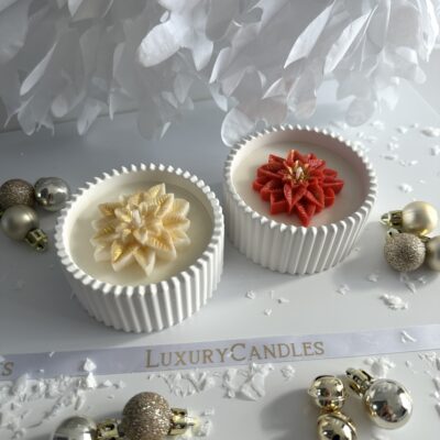 Vianočná ruža mini