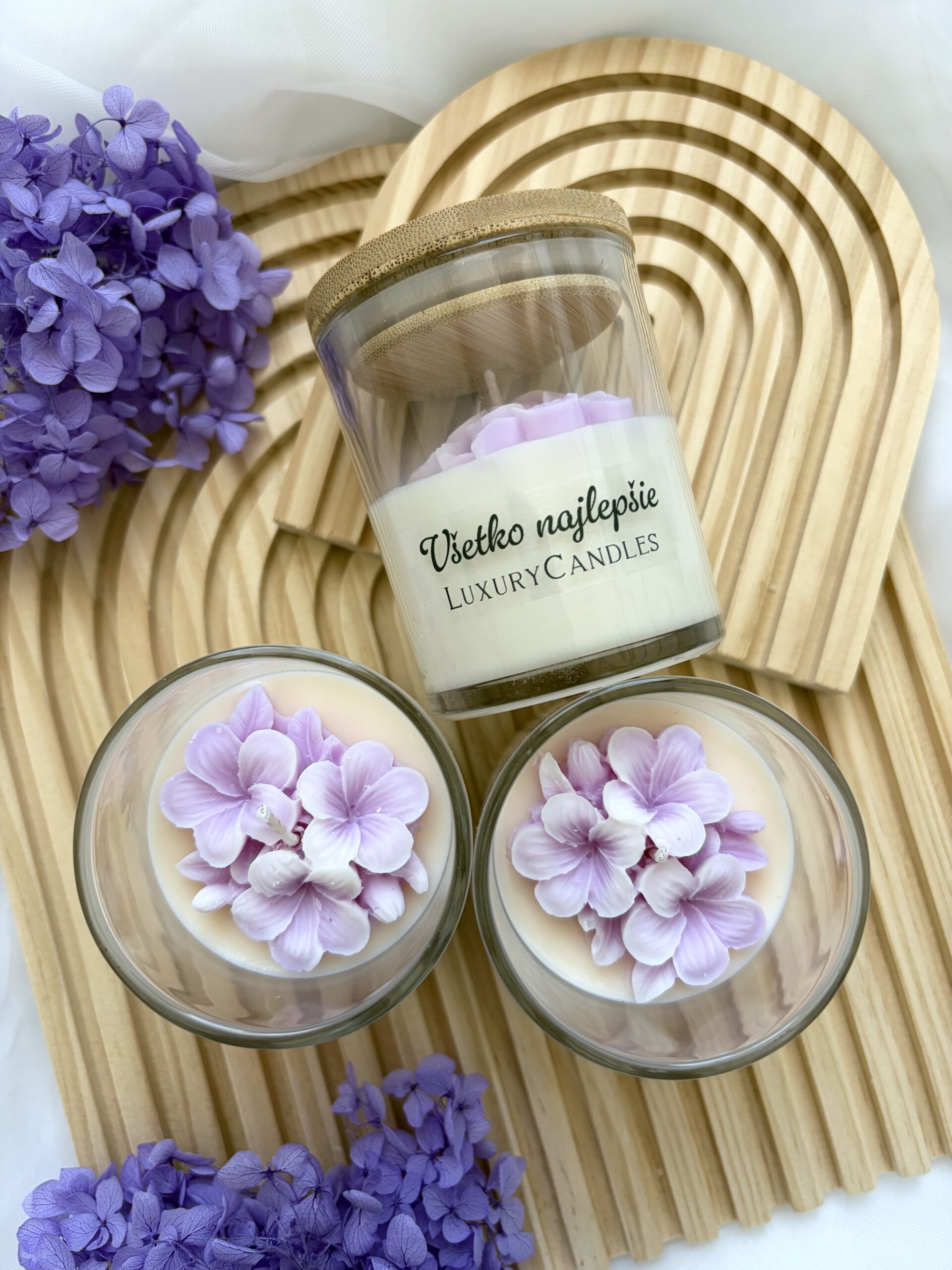 Čučoriedkový sen – Obrázok 2