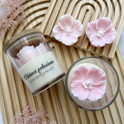 Višňové pokušenie