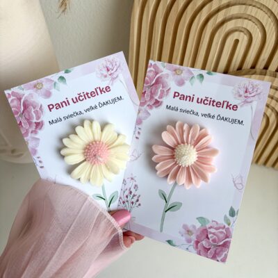 Daisy pre pani učiteľku